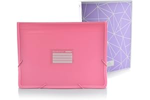 Office Box - Pack Vuelta al Cole: Carpeta Clasificadora PLUS COLORLINE - Con Apartado Para Cuaderno - 12 Divisiones + Carpeta 4 Anillas 25 mm – by Colorline (Rosa + Carpeta Anillas)