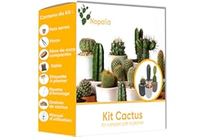 GENERIC Nopalia-Kit cactus-kit a faire pousser-mini cactus-idee cadeau-plante interieur-kit plante a faire pousser