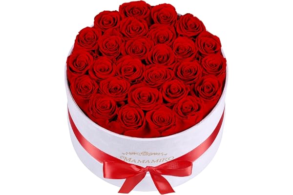 27 Infinity roslåda röd, konserverade rosor av äkta blomma, för kvinnor | Äkta konserverad ros, hållbar i flera år; till jul, mors dag, årsdag, födelsedag för mamma, mormor och flickvän