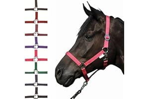 HKM SPORTS EQUIPMENT GMBH HKM - Cavezza Stars Economy, Colore: Lilla