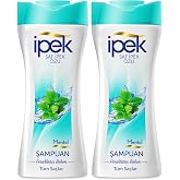 İpek Mentol Şampuan 480 mililitre (2 paketi)