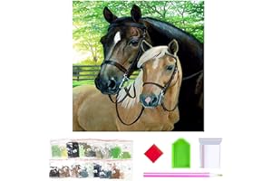 YAOYIN Peinture diamant cheval - Peinture diamant 5D - Pour adultes et enfants - Pour adultes et enfants - Pour la maison, le bureau - 30 x 30 cm