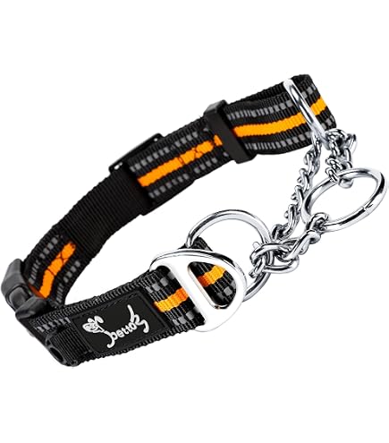 Martingale Hundehalsband Mit Edelstahlkette & Blumen-Design – Verstellbar, Für Große & Kleine Hunde, Größe M