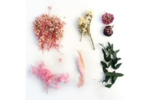 AIYONG Natürliche Getrocknete Blumen, Trockenblumen zum Basteln, Blumen Natürliche Gemischte, Trockenblumen Gepresste Blumen für Basteln Epoxidharz Scrapbooking Deko, Kerzenherstellung(Rosa)