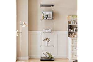 ‎AUFHELLEN AUFHELLEN Glasvitrine Standvitrine in Schwarz, 164x42.5x36.5CM Modern Glas Vitrine Vitrinenschrank mit 4 Böden aus ESG für Sammlerstücke Bücher Wein