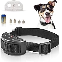 no bark shock collar