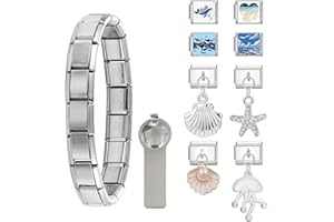 Paffartt Italian Charms Bracelet Sets for Man Woman Removable Classic Stainless Steel 9mm Module Links with Opening Tools Hand Painted for DIY Fashionable Jewelry Gifts