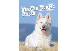 Berger blanc suisse