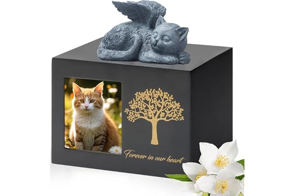 DiDiBirDi Urnes pour chat - Boîte de crémation en bois - Urne noire avec statue de chat en résine et pochette en velours