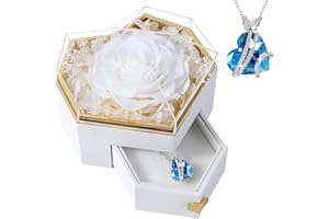 PatNlevs Ewige Rose Geschenkbox mit Kette, Geschenke für Frauen, Geburtstagsgeschenke für Grauen, Geschenk Freundin, Geburtstagsgeschenk für Mama, Schwester, Freundin