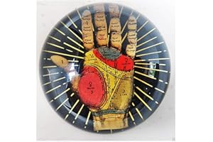 F&G SUPPLIES [2] Phrenology Glass Paper Weights (12/24)