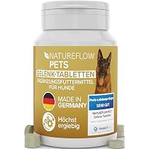 halsband hund biothane Biothane Hundehalsband