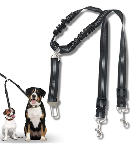 Correa 6 En 1 Para Perros - Manos Libres, Elástica, Reflectante - Para Correr O Pasear Con Mascotas Grandes