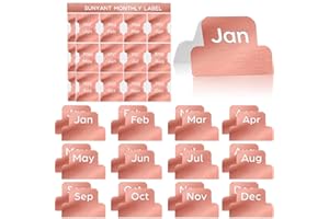 OUTUS 24 Piezas Lengüetas Adhesivas Accesorios de Diseñador Pestañas Mensuales Pegatinas de Planificador Pestaña de Índice Mensual Decorativa para Organizaciones Planificadores Oficina (Oro Rosa)