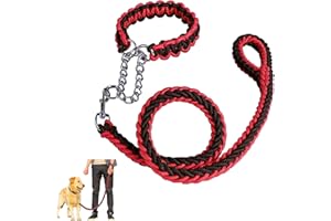 YANMUCY Laisse en Nylon tressé Robuste pour Chien 8 brins Corde pour Animaux de Compagnie pour Dressage de Promenade Poignée antidérapante pour Chiens de Petite Moyenne et Grande Taille