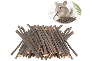 Flewdart 500g Baton de Pommier Naturelle 300pcs, bâton de Dentition pour Animaux de Compagnie, Batonnet Pommier Jouet pour Lapin Hamster Cochon d'Inde Chinchilla (500g)