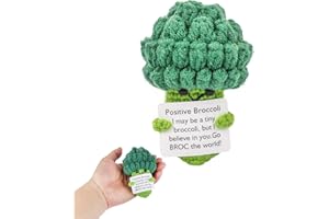KufaerBeam Funny Vegetable Crochet Plushies, Emotional Support Broccoli with Positive Card, Motivational Mental Health Gifts for Colleagues, Friends (Broccoli Edition)