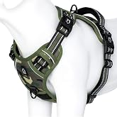 PETTORINA ADDESTRA CANI GUINZAGLIO COLLARE CANE SPORTS DOG HARNESS SET PETTORINA ADDESTRA CANI GUINZAGLIO COLLARE CANE SPORTS DOG HARNESS SET