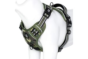 WALDSEEMÜLLER Pettorina Cane Taglia Grande Media Piccola, No-Pull Pettorina h Cane Regolabile, Imbracatura Riflettente Morbida per Addestramento (L, verde)