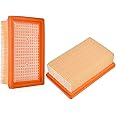 2 Pack Filter Replacement Parts for Karcher WD4, WD5, WD6, MV4, MV5, MV6 Wet & Dry Vacuum Cleaner Filter Accessories, Flat Pleated Premium filter for Karcher