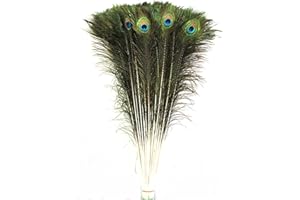 Celine lin Lot de 50 véritables plumes de paon naturelles, 76,2 à 81,4 cm.