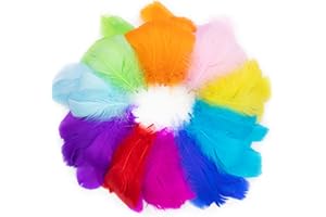OERPHH 300pcs Coloured Feathers for Arts Crafts Natural Goose Feathers Mixed Coloured Craft Feathers for DIY Wedding Home Party Decorations Kids School Crafts