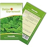 Petersilie Moskrul 2 (Mooskrause) Samen - Petroselinum crispum - Petersiliesamen - Kräutersamen - Saatgut für 600 Pflanzen