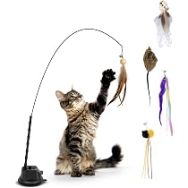 Interaktives Katzenspielzeug Mit Saugnapf – Feder-Angel Zum Jagen & Spielen