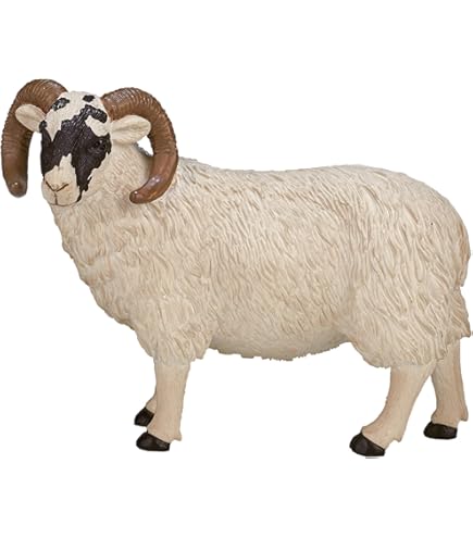 Buy Black Faced Sheep (Ewe) by Mojo Online at Low Prices in India