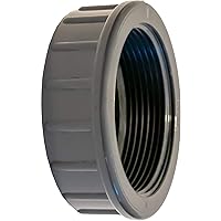 Pangaea Tech PVC Gewindekappe IG 2 Zoll- Winterstopfen für Pool Einlaufdüse - 2" Innengewinde Winterverschluss inkl…