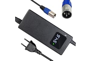 YANGZIDIANYUAN Laddare 54,6 V 2 A för E-cykel E-scooter 48 V litiumbatteri 13S med XLR-kontakt 3-polig, litiumjonbatteriladda