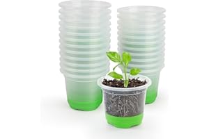 MIXC Anzuchttöpfe 24 Stück 10cm Pflanztöpfe Transparent mit Silikonsockel für einfache Beobachtung und Transplantation Wiederverwendbar Blumentöpfe aus Kunststoff für Pflanzen,Grün