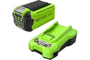 Greenworks Kit Batteria e Caricabatterie Universale - Batteria agli Ioni di Litio 2Ah + Caricabatterie 2A, Compatibile con Tutti gli Elettroutensili e Attrezzi da Giardino Greenworks 40V - GSK40B2