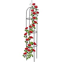 Zwarte plantensteun voor klimplanten bestel HIER online