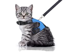 Bella & Balu Arnés Gato | Incluye Correa 120 cm – Robusto arnés Gato con Forro Suave, a Prueba de Fugas, y Malla Transpirable – para Caminar sin dificultad por Las Calles.(S, Azul)