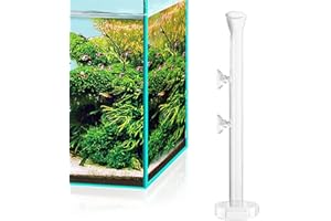 NGUMMS Garnelen-Futterrohr - Klares Kristallglas-Garnelen-Futterröhrchen- und Schüssel-Set,Aquariu -Garnelen-Futterrohr, Garnelen-Futternapf, Schüssel, Aquarium-Fütterungszubehör