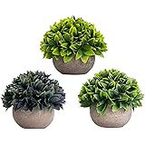 Lilone Artificial Plant with Plastic Pot (Multicolour, 3 Piece)