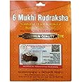 BHAKTI SHRINGAR Rudraksha Brown Certificate Lab Test & X-ray Report with Silver Capping| Rudraksha Pendant for Men & Women