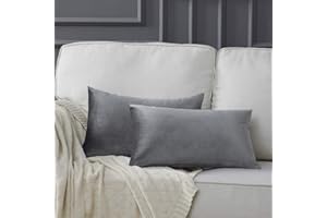 GIGIZAZA Gris Oscuro Terciopelo Almohada Cubre Caso Suave decoración Fundas de de cojín para sofá Dormitorio Coche Cama Casa Decor 30x50cm ，Pack de 2
