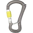 Dmm Ceros Screwgate Screw Gate Carabiner