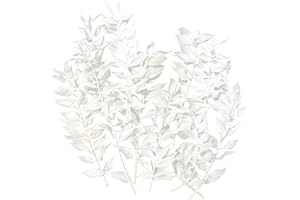 RUGBOL Trockenblumen, getrockneter Mäusedorn, getrocknete Blumen, Basteln für DIY-Kunst, Kunstharz, Scrapbooking, Schmuckherstellung, Blumendekorationen, Cupcake-Dekoration (Weiß)