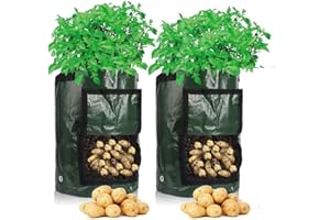 Cefrank 2 X Sac de Plantation Grand, 50 L, 34 X 35 cm, Sacs de Plantation pour Pommes De Terre, Carottes, Fraises Fraise Grow Bag