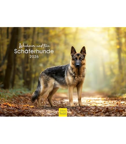 Deutscher Schäferhund Kalender 2024 – Monatskalender Mit Hochwertigen Fotos, Wandkalender Für Hundeliebhaber