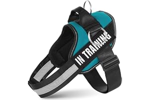 JUSTYEZI No Pull Dog Harness, Adjustable Assistance Service Dog Vest with Buckle, Reflective No-Choke Pet Vest Puppy Harness with Easy Control Handle for Training