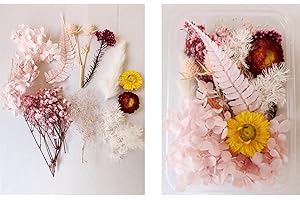 GANMFOYC 1 Boxes 10 kinds of flowers Real Dried Flowers Natural Dry Flowers Leaves Colorful Real Dried Flower Plant DIY Crafts Materials Dried Floral for DIY Resin Pendant and Home Decorations (B)