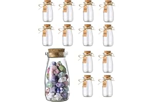 Smiths Mason Jars 12-pack 100ml Mini bottiglie di vetro alte con tappi di sughero per - Perfetto per la conservazione degli alimenti, omaggi, progetti fai da te e altro ancora