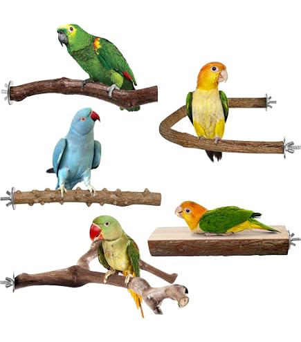 Vogelsitzstangen Aus Holz Für Käfig – Mit Kaubaren Tannenzapfen & Hanfseil, Natürliche Plattform Zum Krallentrimmen Für Papageien & Sittiche