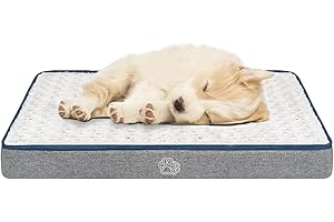 EMPSIGN Cuccia reversibile per cani, fresca e calda, con copertura lavabile e rimovibile, per cani di taglia grande, media e piccola, grigio