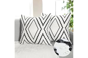 Dremisland 2 Piezas Fundas de Almohada Exterior Impermeable Funda de Cojín Negro y Blanco Geométricas Bohemios Aztecas Decorativas Cojín Cubierta para Cama Patio Jardín Sofá (45x45cm, Blanco)