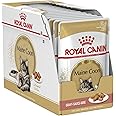 Royal Canin Maine Coon Adult Cat Food 85g x 12